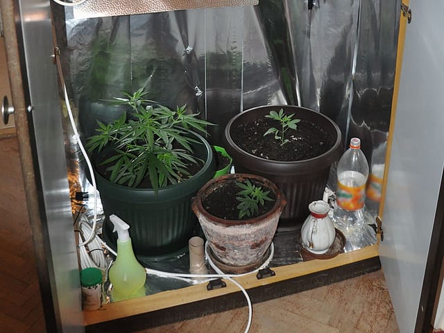marihuana mini-laboratorija